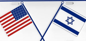 U.S.A-Israel License Plate