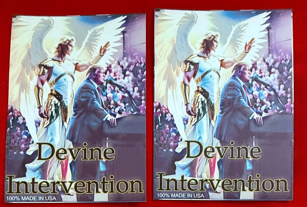 Devine Intervention Magnet . Truth spoken ! 6” x 4” (set of 2)