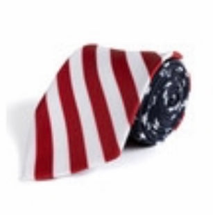 Patriotic Tie
