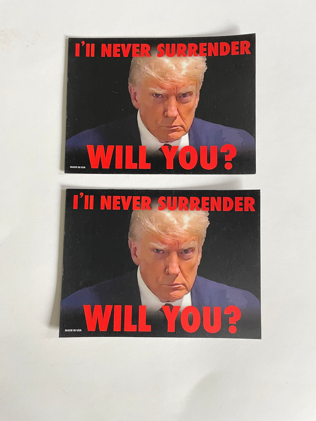 Magnet Set of 2 - “ I’ll never surrender will you ?