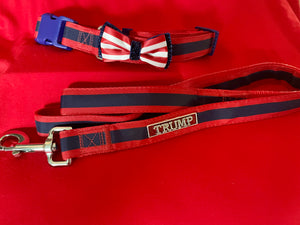 Beautiful Patriotic Dog Leash & Dog Collar Set